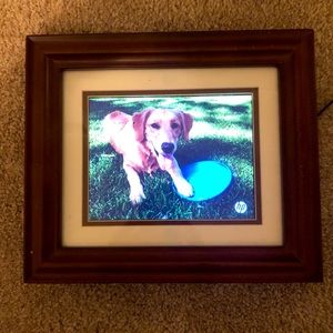 HP Digital Picture frame